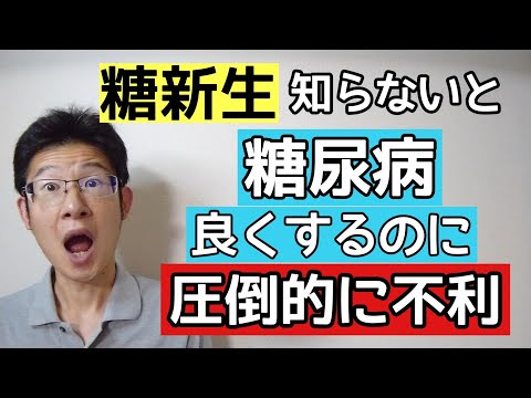 糖新生を知ると糖質に対する考え方が変わります