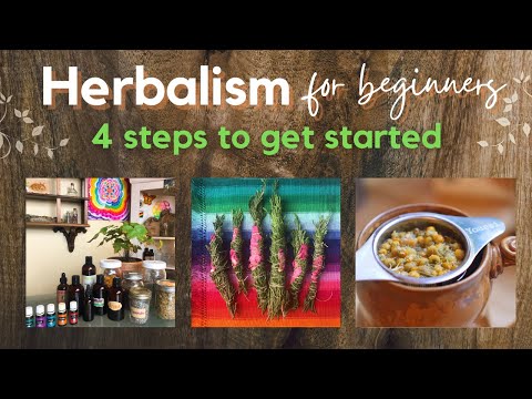 Herbalism for Beginners - 4 easy steps