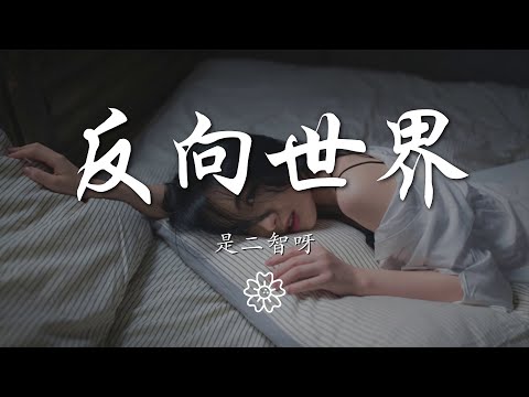 是二智呀 - 反向世界『夜黑暗的純粹 我卻還不能入睡』【動態歌詞Lyrics】