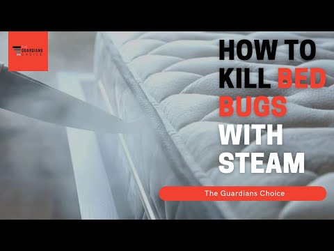 Bed Bug Steamer: How to Kill Bed Bugs With Steam | The Guardians Choice