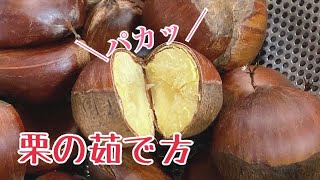 【簡単】生栗の茹で方 洗い方 食べ方 2021年版では【もっと簡単栗の茹で方】を紹介しています概要欄からご覧下さい