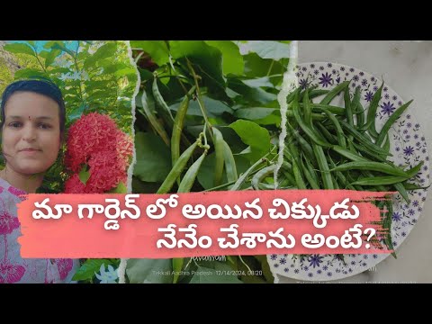 "Menthi Chikkudu Kaya Curry Recipe | Traditional Andhra-Style Cluster Beans Curry" #Andhra recipes