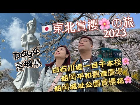 船岡平和觀音廣場🌸賞櫻2023