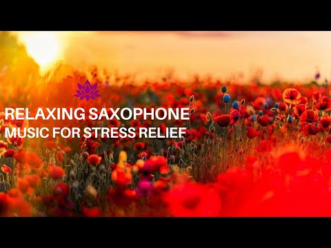 Relaxing Saxophone Music for Stress Relief | Relaxing sound for Sleep, Study or Meditation | ASMR