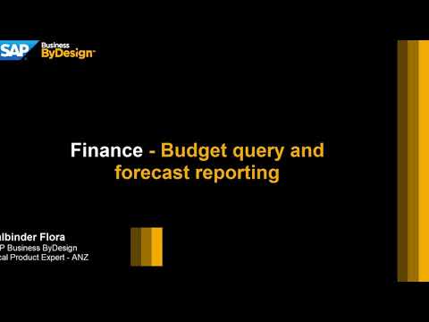 Budget Queries & Forecasting in SAP Business ByDesign