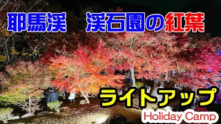 【紅葉】耶馬渓　渓石園の紅葉 2021 ライトアップ