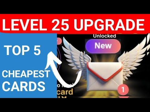 Hamster Kombat Card Level 25 Upgrade - Which card to upgrade to level 25? TOP FIVE CHEAPEST CARDS