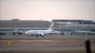 北海道を各地と結ぶ小型機　＠　新千歳空港　生コンポイント