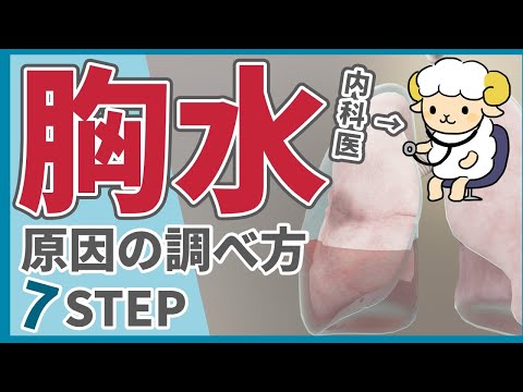 【呼吸器内科医が解説】胸水の原因を調べる7STEP