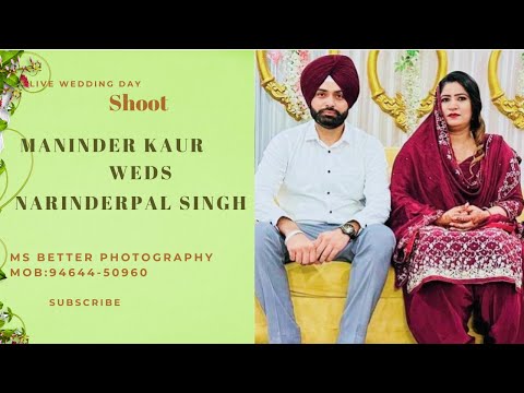 Live Wedding Day // Maninder Kaur Weds Narinderpal Singh // MS Better  Photography MoB : 94644-50960