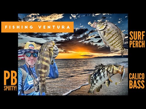 Calico Bass, PB Spotty, Croaker & Surf Perch-Fishing Ventura