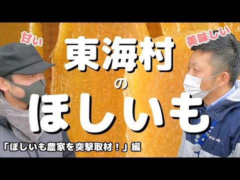 【東海村LAB.第32回】東海村のほしいも農家に突撃！「潜入取材」編