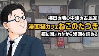 【ルート紹介】中津の古民家猫カフェねこのたつきが平日限定お連れ様半額キャンペーン実施中【大阪/中津】