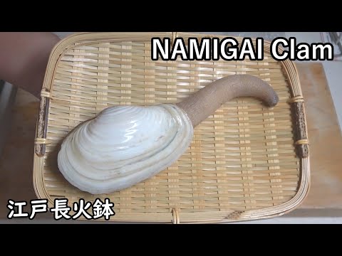 Namigai clam (type of Horse clam)[Japanese food at "NAGA-HIBACHI"]