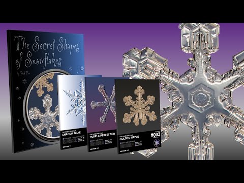 INSANE Snowflakes | Book & NFTs