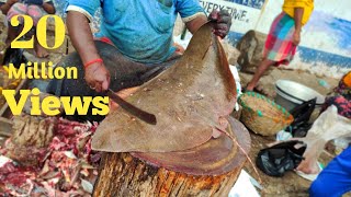 Stingray & Ribbon Fish Cutting & Chopping In Kasimedu Fish Market