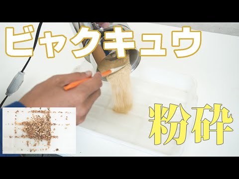 【生薬を粉にする】ビャクキュウを粉砕（コナッピー）