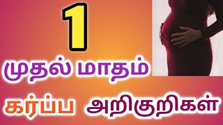 First month pregnancy symptoms in tamil/Pregnancy care in 1st month/Pregnancy confirmation/pregnancy