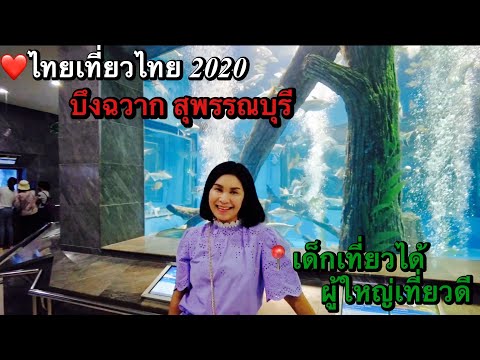 บึงฉวาก สุพรรณบุรี 2020 สวรรค์ของคนรักปลา  ไทยเที่ยวไทย