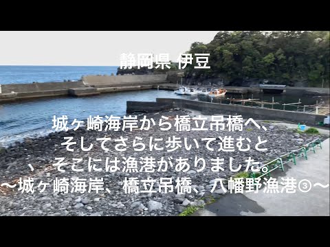 【静岡】【伊豆】城ヶ崎海岸から橋立吊橋へ、そしてさらに歩いて進むとそこには漁港がありました。～城ヶ崎海岸、橋立吊橋、八幡野漁港 #3～ 【shizuoka】【izu】