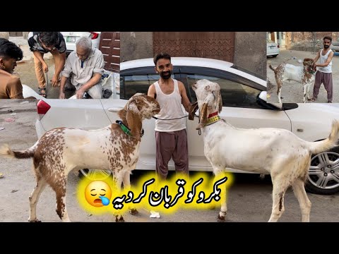 Malik Shakeel Ne Qurbani Kr Di 😥