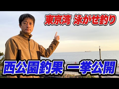 【東扇島西公園】青物狙いの泳がせ釣り前半戦釣果ダイジェスト！大型魚がまさかの入れ食い状態...