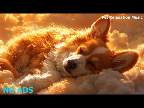 🐶Music to LEAVE DOGS ALONE AT HOME 💛 MUSIC THERAPY Relaxing Music for Dogs to Calm