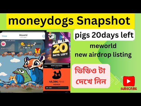 money dogs Snapshot date|| pigs new update || meworld new airdeop||