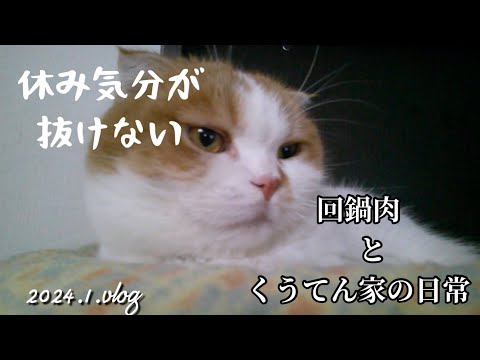 【暮らしのvlog】休み気分がぬけない/40代夫婦/飾らない暮らし/