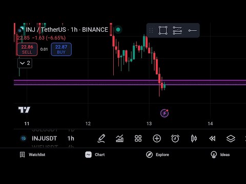 Crypto Live Signal Today 13-11-2024