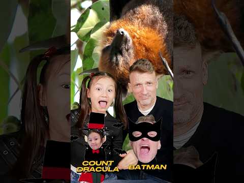 Bats and Echolocation | Nature's Wonders | STEM with Ailani's Little World