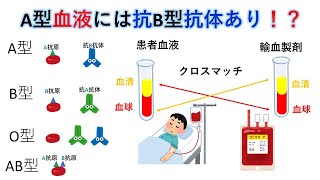 国試対策：暗記からの卒業 41話　血液型判定と輸血