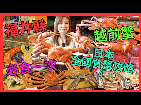 [日本全國蟹攻略4 福井縣 越前蟹 松葉蟹] 人生 必食一次 越前蟹｜推介 3間 食蟹 餐廳｜活 越前蟹 有幾好味｜3種食法｜刺身 燒 蒸｜另一經濟食法｜日本海魚市場 買蟹食｜越前海岸漁火街道｜三國港