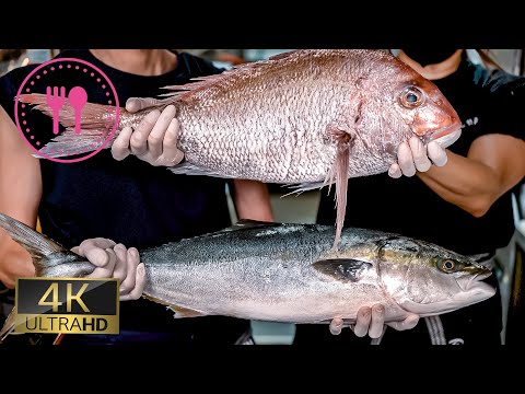 [ 4K ] HOW TO CUT AND CLEAN RED SNAPPER and HAMACHI / JAPANNESE FOOD LOVERS