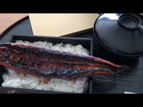 重箱にうなぎ（大）のせるとこんな感じになりました UNAGI