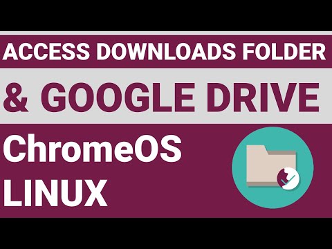 How to access files in ChromeOS Linux