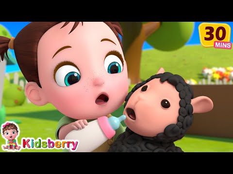 Marry Had a Little Lamb + ABC Song | Nursery Rhymes & Baby Songs - Kidsberry