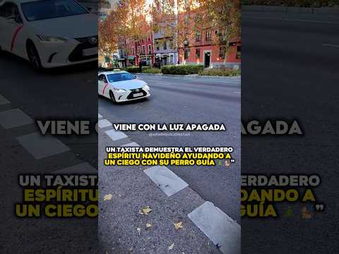 Un taxista demuestra el verdadero espíritu navideño ayudando a un ciego con su perro guía