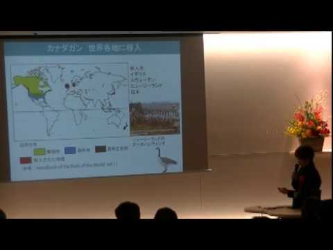 【H28日本自然保護大賞】カナダガン調査グループ（神奈川県）