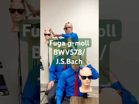 【Fuga g-moll BWV578/J.S.Bach】 by Head Percussion😎🙌 #バッハ #小フーガハゲ短調 #ハゲの歌 #小フーガト短調