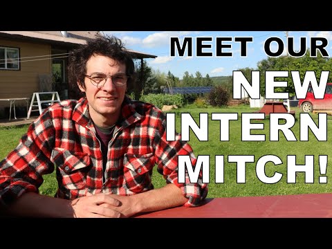 Meet our new intern Mitch!