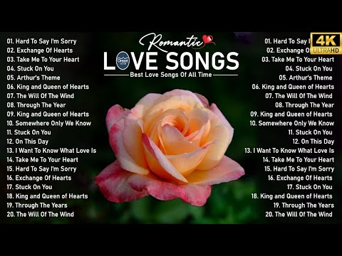 The Most Of Beautiful Love Songs About Falling In Love - Romantic Love Songs 2024 Shyane Ward.MLTR