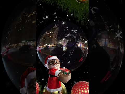 #foryou #insta360 #nyc #onewheelgang #onewheelnation #onewheel #christmas #mariahcarey