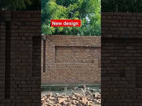 new Boundary wall design 2024 #pigeon #pigeonbreeds #beautiful #whitepigeon #pigeontypes #kabootar