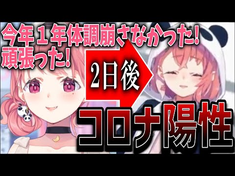 クリスマスがコロナでぶっ潰れるしなんならフラグは建ってた笹木【にじさんじ/笹木咲/切り抜き】