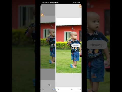 How to background Remove in Snapseed￼ #shorts #trending #chandueditz #editing #backgroundchange ￼