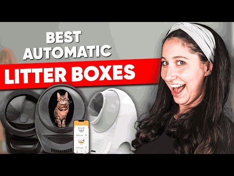 Best Automatic Litter Box of 2025