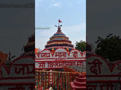 Rajrappa Mandir 2024 || Navratri Special Darshan #rajrappamandir  #youtubeshorts