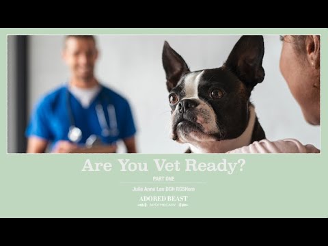 Are You Vet Ready Webinar: Part One presented by Julie Anne Lee DCH