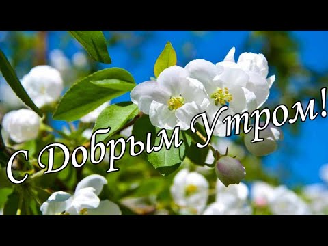 С ДОБРЫМ УТРОМ !🌼Желаю Самого Доброго Солнечного Утра!🌼  Шикарная Музыкальная открытка 🌼